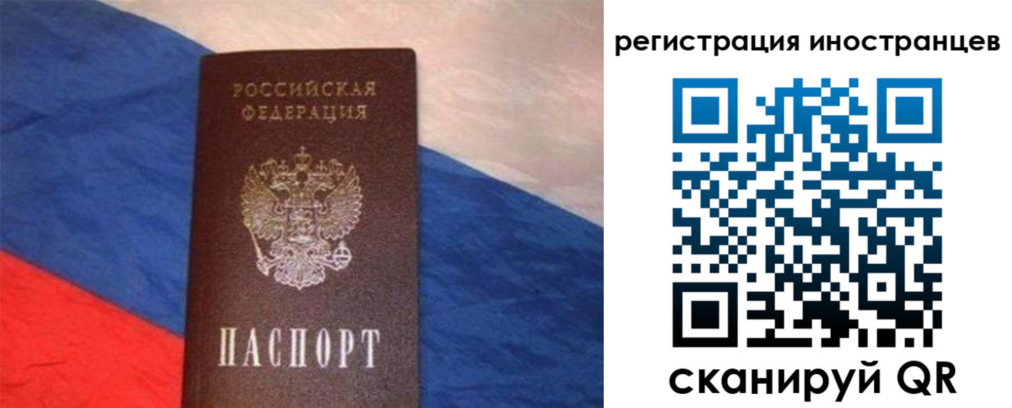 прописка в Елизово