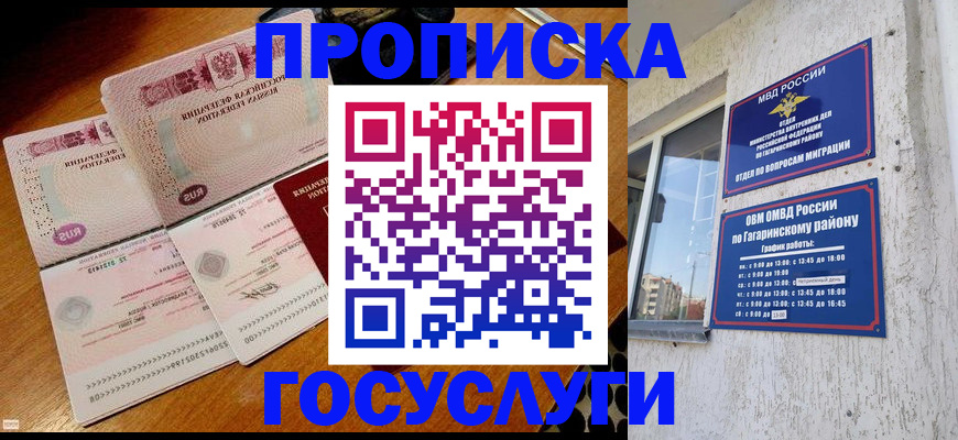 временная регистрация купить в Елизово